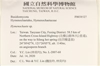 刺革菌屬藏品圖，第2張