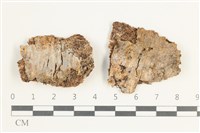 登錄號:F0038528藏品圖，第1張