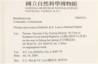 登錄號:F0038531藏品圖，第2張