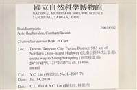 登錄號:F0038532藏品圖，第2張