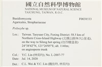 登錄號:F0038533藏品圖，第2張