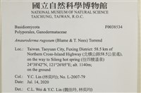 登錄號:F0038534藏品圖，第2張
