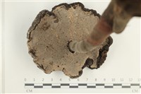 登錄號:F0038534藏品圖，第3張