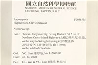 登錄號:F0038535藏品圖，第2張