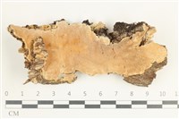 登錄號:F0038536藏品圖，第1張