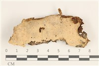 登錄號:F0038537藏品圖，第1張