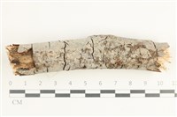 登錄號:F0038538藏品圖，第1張