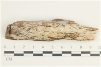 登錄號:F0038539藏品圖，第1張