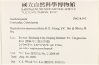 登錄號:F0038540藏品圖，第2張