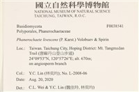 登錄號:F0038541藏品圖，第2張