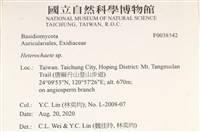 刺皮菌屬藏品圖，第2張