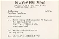 登錄號:F0038543藏品圖，第2張