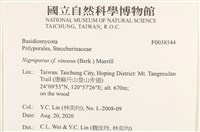 登錄號:F0038544藏品圖，第2張