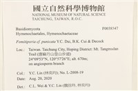 登錄號:F0038547藏品圖，第2張