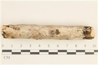 登錄號:F0038549藏品圖，第1張