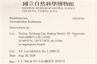 刺皮菌屬藏品圖，第2張