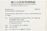 登錄號:F0038553藏品圖，第2張