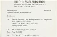 登錄號:F0038556藏品圖，第2張