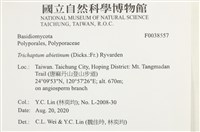 登錄號:F0038557藏品圖，第2張