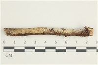 登錄號:F0038560藏品圖，第1張