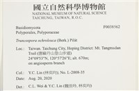 登錄號:F0038562藏品圖，第2張
