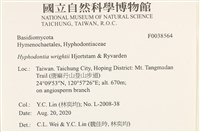 登錄號:F0038564藏品圖，第2張