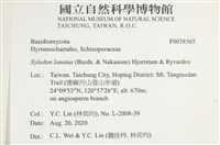 登錄號:F0038565藏品圖，第2張