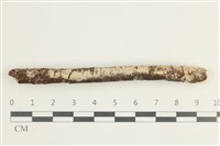 登錄號:F0038565藏品圖，第1張