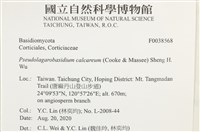 登錄號:F0038568藏品圖，第2張