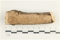 登錄號:F0038568藏品圖，第1張