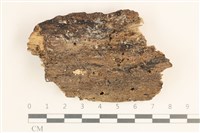 登錄號:F0038572藏品圖，第1張