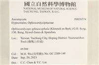 登錄號:F0038574藏品圖，第2張