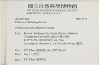 登錄號:F0038576藏品圖，第2張