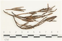 登錄號:F0038576藏品圖，第1張