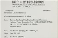 登錄號:F0038577藏品圖，第2張