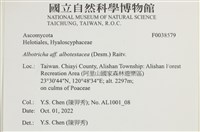 登錄號:F0038579藏品圖，第2張