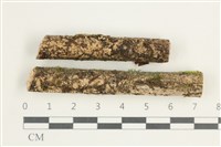 登錄號:F0038579藏品圖，第1張