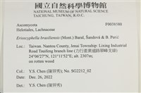 登錄號:F0038580藏品圖，第2張