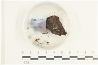 登錄號:F0038580藏品圖，第1張