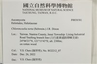 登錄號:F0038581藏品圖，第2張
