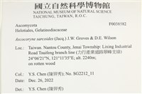 登錄號:F0038582藏品圖，第2張
