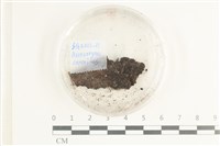 登錄號:F0038582藏品圖，第1張
