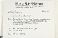 登錄號:F0038583藏品圖，第2張