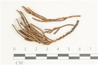 登錄號:F0038584藏品圖，第1張