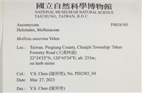 登錄號:F0038585藏品圖，第2張