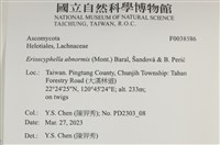 登錄號:F0038586藏品圖，第2張