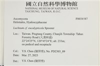 登錄號:F0038587藏品圖，第2張