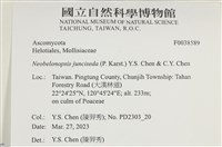 登錄號:F0038589藏品圖，第2張