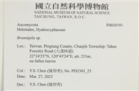 登錄號:F0038591藏品圖，第2張