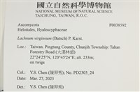 登錄號:F0038592藏品圖，第2張